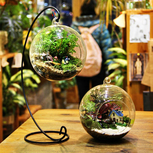 苔藓微景观玻璃生态瓶创意多肉植物盆栽花盆花瓶铁支架吊瓶满包邮