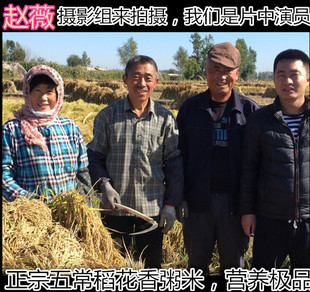 2015年新大米东北黑龙江五常稻花香大米碎米5kg包邮粥米宝宝辅食