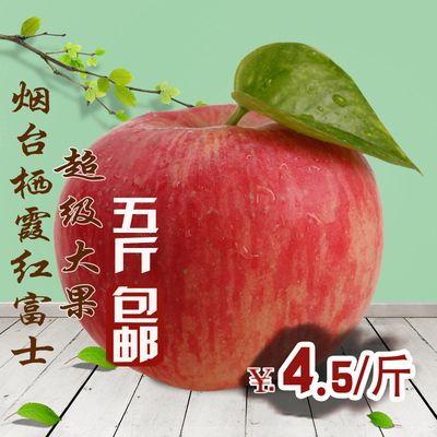 （五斤以上包邮）烟台栖霞红富士当年超大苹果1斤85新鲜果园直发