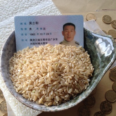 糙米五谷杂粮东北黑龙江15年稻花香糙米绿色粳米农家胚芽玄米粗粮