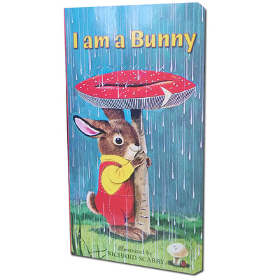 I Am a Bunny 我是一只兔子大美无疆 大自然之美 原版绘本 纸板书