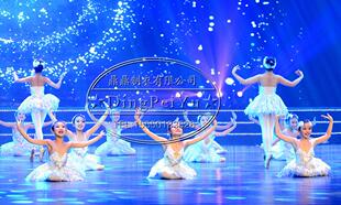女童小天鹅舞演出服 表演服装 芭蕾舞蹈服 儿童白纱裙公主蓬蓬
