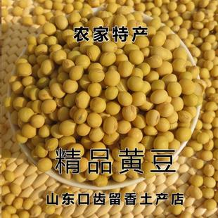 沂蒙山自产自种纯天然有机黄豆 非转基因大豆 生豆芽打豆浆专用