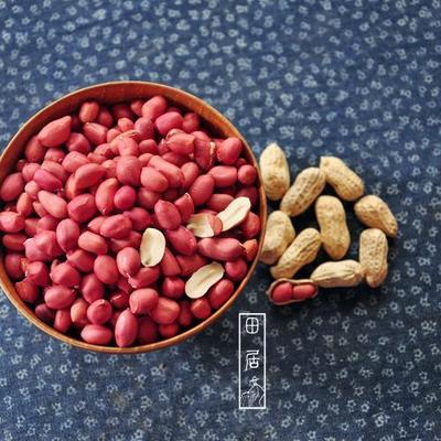 小满食纪|本地农家 自种小种 红衣花生米 补血 原生态手工剥 豆浆