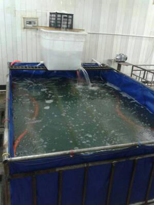 1吨水体暂养设备（不带暂养池）/可长期养海鲜水产鱼虾蟹贝100斤