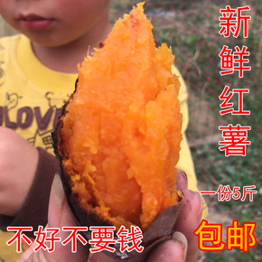 新鲜小红薯山芋黄心香薯有机农产品生番薯甜地瓜红苕菜薯5斤包邮