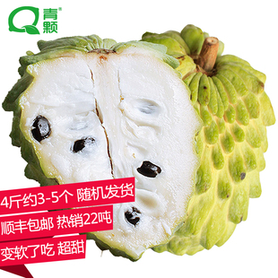【青颗】台湾进口凤梨释迦果4斤装约3-5个番荔枝新鲜水果顺丰包邮