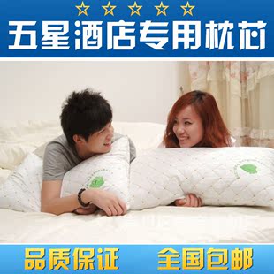 蚕丝枕芯45*75cm白色枕芯双纯棉全棉桑蚕丝枕头个 一只单双人枕