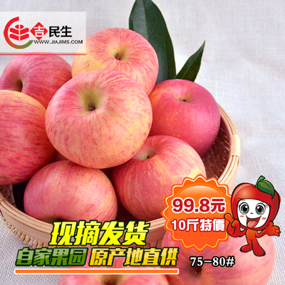 山东烟台苹果栖霞大冒顶红富士苹果水果新鲜脆甜80#10斤 特产批发