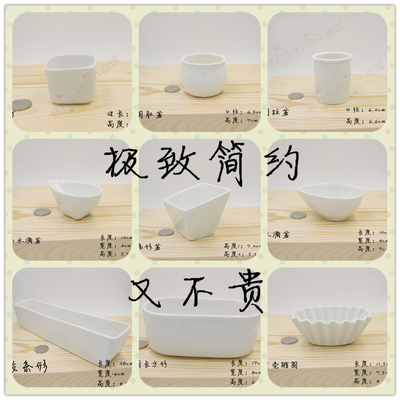 白色陶瓷 白瓷多肉花盆DIY小号大号肉肉花盆陶瓷简约个性组合花盆