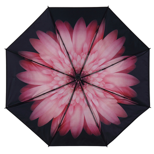 雨伞三折小巧太阳伞雏菊花纹创意伞