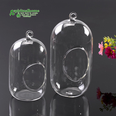苔藓微景观造景玻璃瓶 玻璃长吊瓶 多肉植物玻璃盆