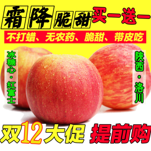 现摘新鲜陕西洛川冰糖心苹果有机红富士纯天然水果 买一斤送一斤