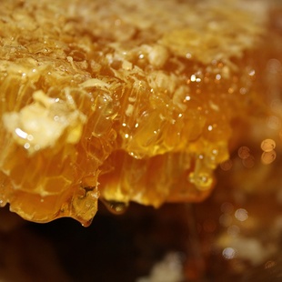 包邮土蜂蜜农家自产深山纯天然百花蜜五味子等药材蜂蜜结晶蜜冬