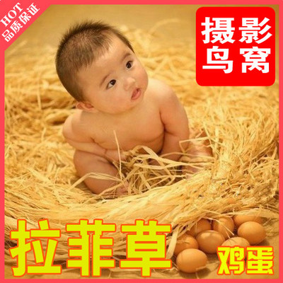 新款儿童摄影服装小道具婴儿宝宝拍照水草稻草拍摄欧式欧美拉菲草