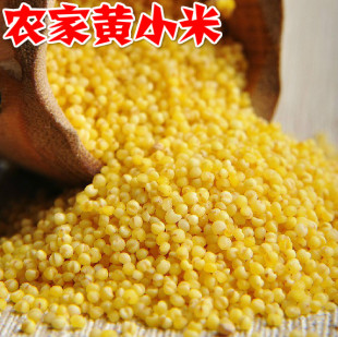 农家自产小米 黄小米月子米特产 有机五谷杂粮粗粮食品