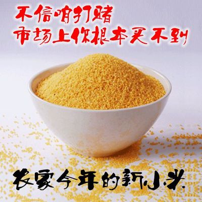 陕北小米 农家小米 有机黄小米 月子米 小黄米 杂粮 粗粮