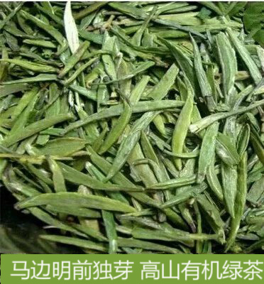 包邮 马边有机茶 高山春茶产地直销竹叶青茶叶明前绿茶250G