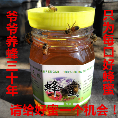 2016年槐花蜂蜜纯天然农家自产自销野有机蜂蜜500g包邮