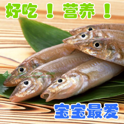 新鲜沙丁鱼含 新鲜野生沙丁鱼海鱼 冰鲜海鱼 海鲜鲜活鱼 批发