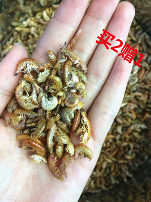 天然寄居蟹食物野生虾干15克装 寄居蟹补钙专用食物 帮助蜕皮换壳