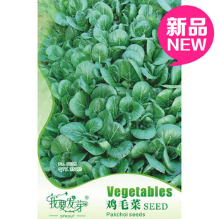 我要发芽 蔬菜种子 鸡毛菜种子 上海青小白菜 四季可播 250粒/包