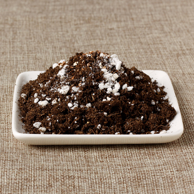 营养土泥炭土多肉植物用土 发根专用德国草炭+珍珠岩+蛭石500毫升
