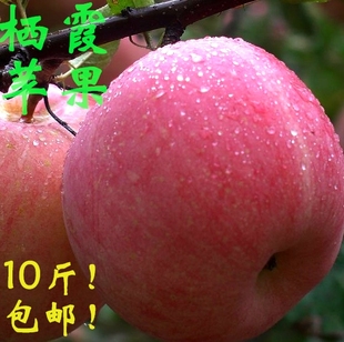 山东烟台苹果水果新鲜栖霞红富士80二级果有机特产批发包邮