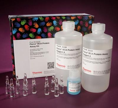 Pierce™ BCA Protein Assay Kit，BCA蛋白定量，23225
