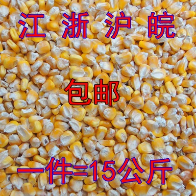 2015年农家干玉米粒 玉米籽粗粮批发 鸽子鸡鸭鸟宠物饲料30斤包邮