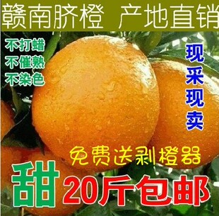 正宗赣南脐橙20斤包邮 新鲜有机水果现摘现发营养多汁超甜标准果