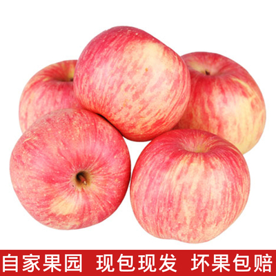 哼哼山庄 农家自产 烟台红富士苹果 脆甜新鲜水果5斤特价包邮