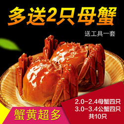 大闸蟹现货鲜活螃蟹固城湖花津蟹3.4-2.0两自产螃蟹公母8只礼盒装