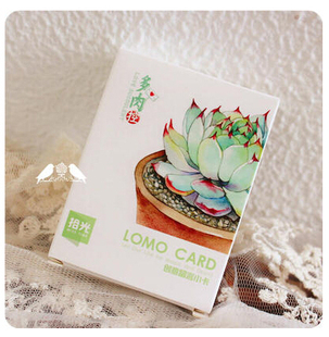 拾光创意留言小卡片LOMO卡片多肉控系列手绘多肉植物明信片