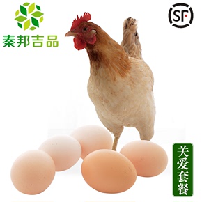【秦邦吉品】 关爱套餐 一年温补型有机老母鸡1只 30枚有机草鸡蛋