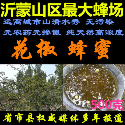 纯天然成熟花椒蜂蜜 沂蒙刘长坤蜂场有百花蜜野生土蜂蜜 特价包邮