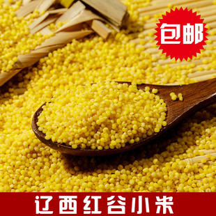 辽西红谷小米 农家黄小米有机月子杂粮小米粥食用东北自产500g*3