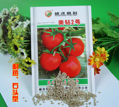 杨凌高科美钻2号 番茄种子蔬菜种子包邮种春季种子西红柿