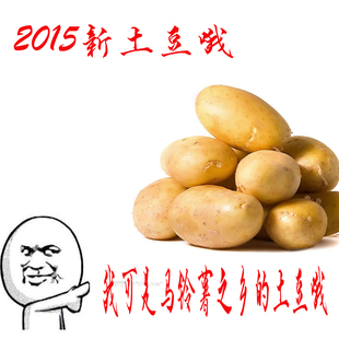 2016新鲜土豆马铃薯新鲜滕州马铃薯蔬菜土豆十斤包邮