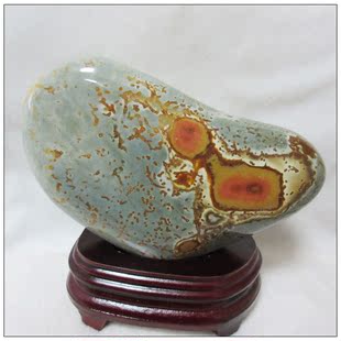 天然精品海洋石摆件:大黄鸭。象形奇石 不同角度 超低价