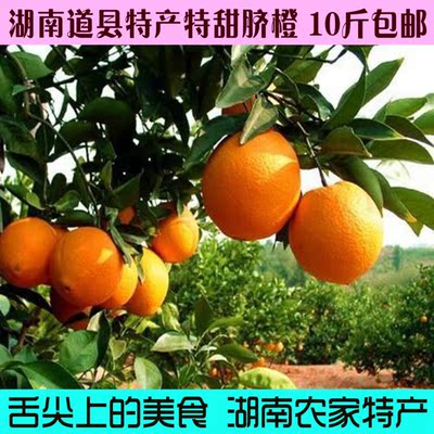 湖南土特产农家自产脐橙新鲜水果橙子道县脐橙榨汁10斤起批发包邮