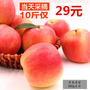 包邮蘋果苹果新鲜 大沙河红富士苹果农家自产10斤 果园现摘直发