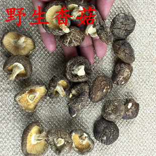 新货 特级野生香菇 冬菇干菇 肉厚 干香菇 蘑菇干货 木头香菇