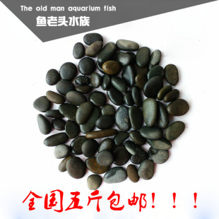 天然铁胆砂 黑工砂 黑胆沙 五斤 水草沙鳌虾 鱼 缸 造景 基 质