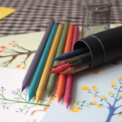 生活日记の简约 原木绘画铅笔 桶装彩色铅笔 涂鸦铅笔12色 zakka