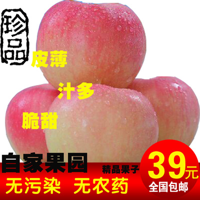 新鲜水果烟台栖霞红富士苹果5斤包邮比冰糖心更甜无污染带皮吃