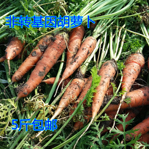 5斤装农家自种胡萝卜有机胡萝卜新鲜非转基因小胡萝卜新鲜蔬菜