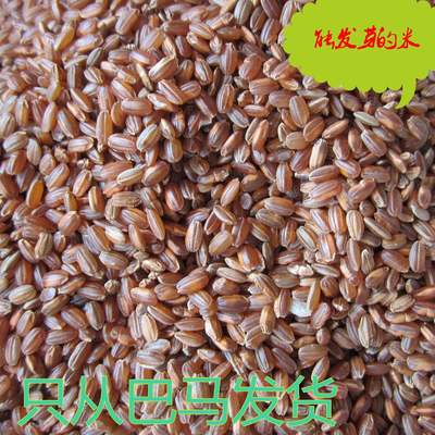 胚芽红粳米红梗米留胚圆红米 巴马特产红糙米胚芽米发芽米玄米