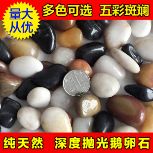 南京天然雨花石鹅卵石批发铺地彩色石头鹅软石鱼缸花盆五彩小石子