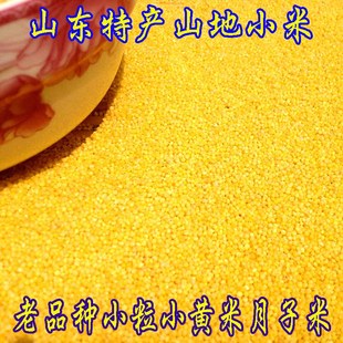 黄小米 沂蒙农家自种 月子米 宝宝米 2016新小米 无污染 包邮